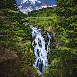 Myrtle Falls and Mount Rainier, Washington - Vertical by Abbie Matthews
