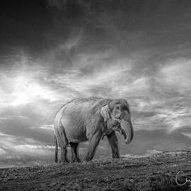 Never Forget by Chris Boulton