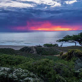 Oasis by Louis Raphael