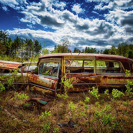 Out To Pasture.  by Jeff Sinon