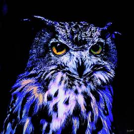 owl portrait by Bruce Block