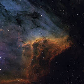Pelican Nebula by Brian Weber