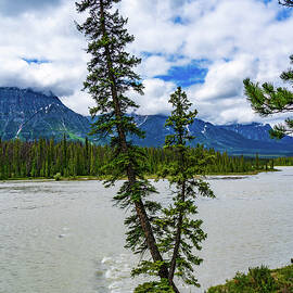 Picnic Along the Athabasca River Japser Alberta Canada by Tommy Farnsworth