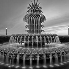 Pineapple Fountain SC by Susan Candelario