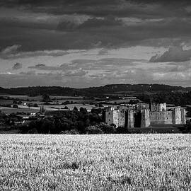 Raglan Castle by Seeables Visual Arts