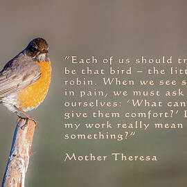 Be The Robin by Mike Lee