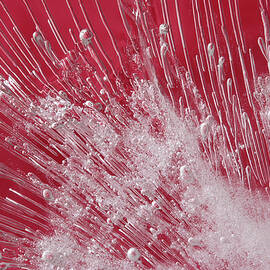 Splash  by Barbara Siegel