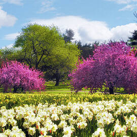 Spring Fever by Jessica Jenney