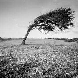Standing the test of time by Will Gudgeon