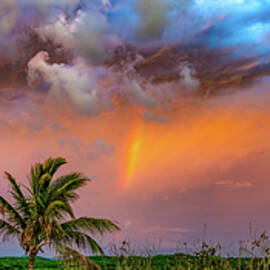 Tapestry Sunset Looking East Mazatlan Mexico by Tommy Farnsworth