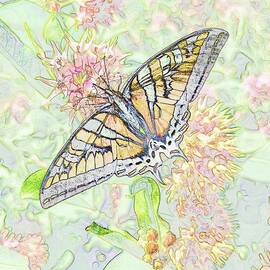 Swallowtail by Bruce Block