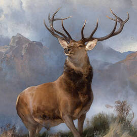 The Monarch of the Glen by Sir Edwin Henry Landseer