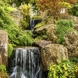Tranquil Garden Waterfall Scene by Shirley Mitchell