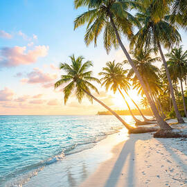 Tropical Beach at Sunrise by The Luxury Art Collection