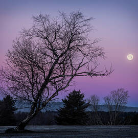 Twilight Serenity Under the Full Moon by NorthEast Creativity