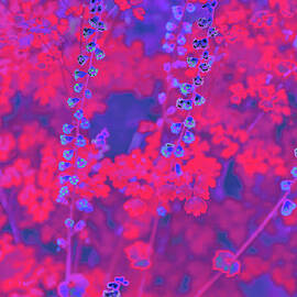 Vibrant Floral Explosion by Bruce Block