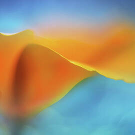 Warmth by Ursula Abresch