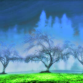 winter trees in the park  by Bruce Block
