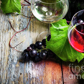 Wine by Jelena Jovanovic