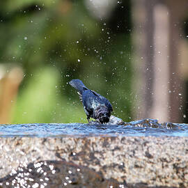 110 in Palm Springs by Joe Schofield