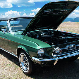 1967 Ford Mustang by Flees Photos