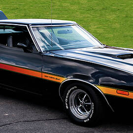 1972 Ford Gran Torino Fastback by Flees Photos