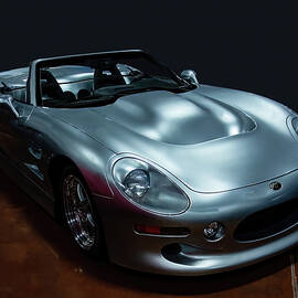 1999 Shelby Series 1 by Flees Photos