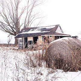 Abandoned Homestead by DEE POTTER