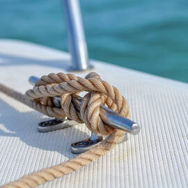 Anchor Line by Laura Fasulo