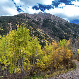 Aspen Road by Matt Halvorson