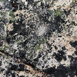 Atlantic Coast Abstract by Shankar Adiseshan