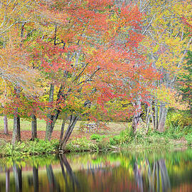Autumn Reflections by Dave King