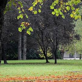 Autumn by Robert Grac