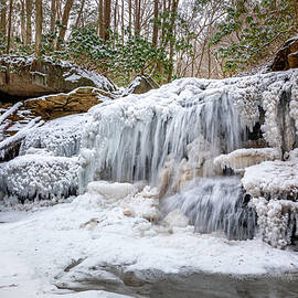 Frozen Waterfall in Winter Forest by Richard DeYoung