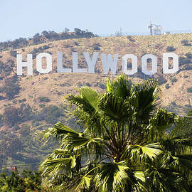 Hollywood Sign Photo by Paul Velgos