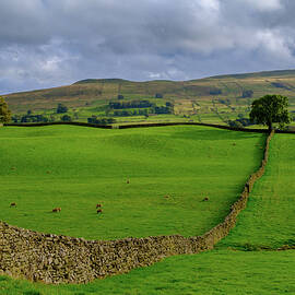 Landscape near Hawes in Wensleydale by Seeables Visual Arts