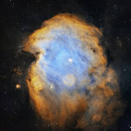Monkey Head Nebula by Brian Weber