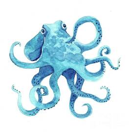 Octopus by Lucia Stewart