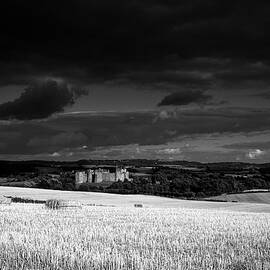 Raglan Castle by Seeables Visual Arts