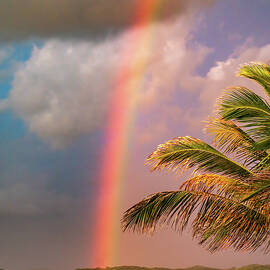 Rainbow over Playa El Delfin by Tommy Farnsworth