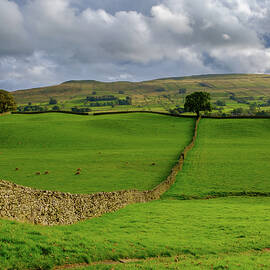 Wensleydale by Seeables Visual Arts