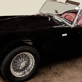 2012 Shelby Cobra 50th Anniversary by Flees Photos