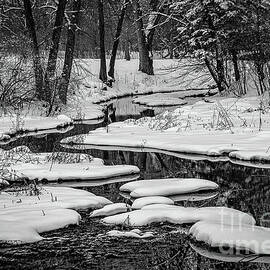 2645-2 Snowy Creek