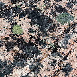 Atlantic Coast Abstract by Shankar Adiseshan