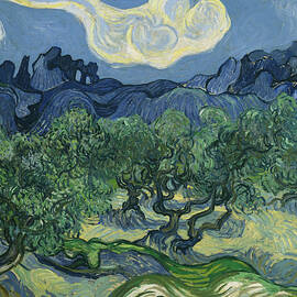 The Olive Trees by Vincent Van Gogh