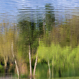 Watercolour by Shankar Adiseshan