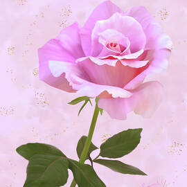 Digitally Painted Pink Rose by Sue Leonard
