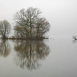 Loch Lomond by Grant Glendinning