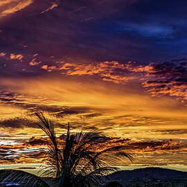 Sunrise Mazatlan Sinaloa Mexico by Tommy Farnsworth