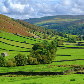 Swaledale drystone walls and barns by Seeables Visual Arts